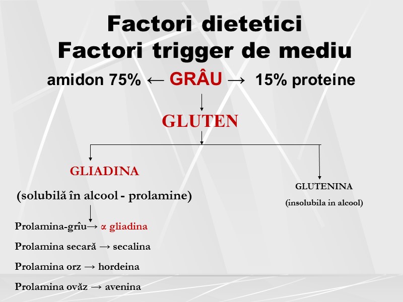 Factori dietetici  Factori trigger de mediu amidon 75% ← GRÂU →  15%